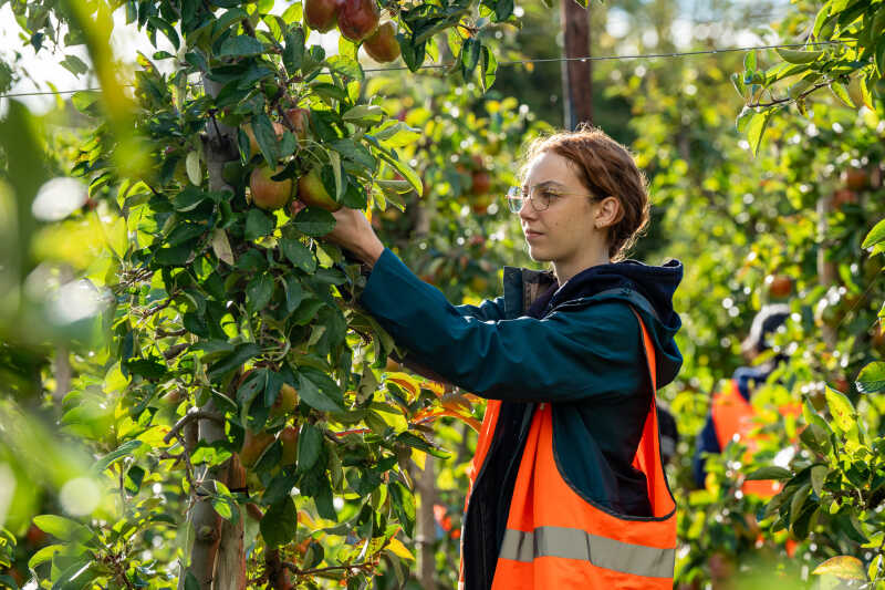 Right to Food University logo