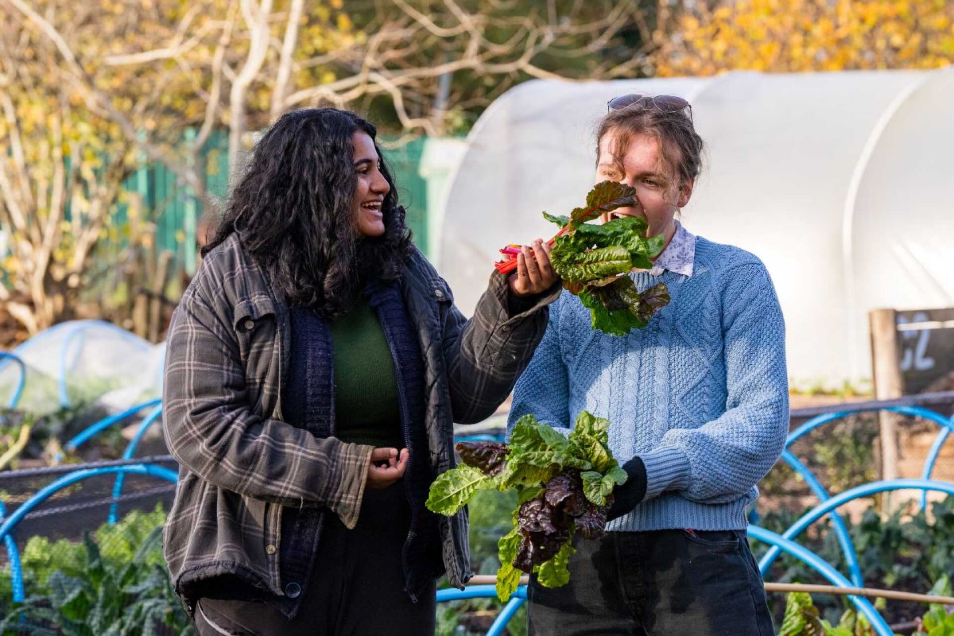 Two University of Kent students help out in the Kent Community Oasis Garden.